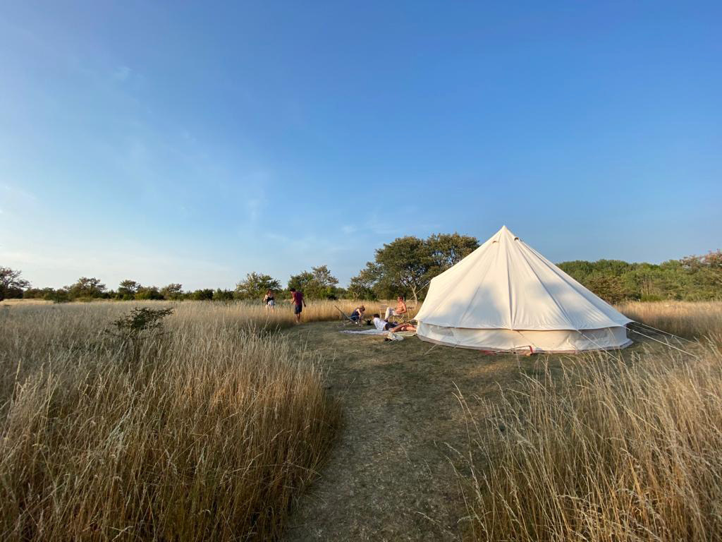 1568d407-a3c7-4edf-a936-5dc59de20050