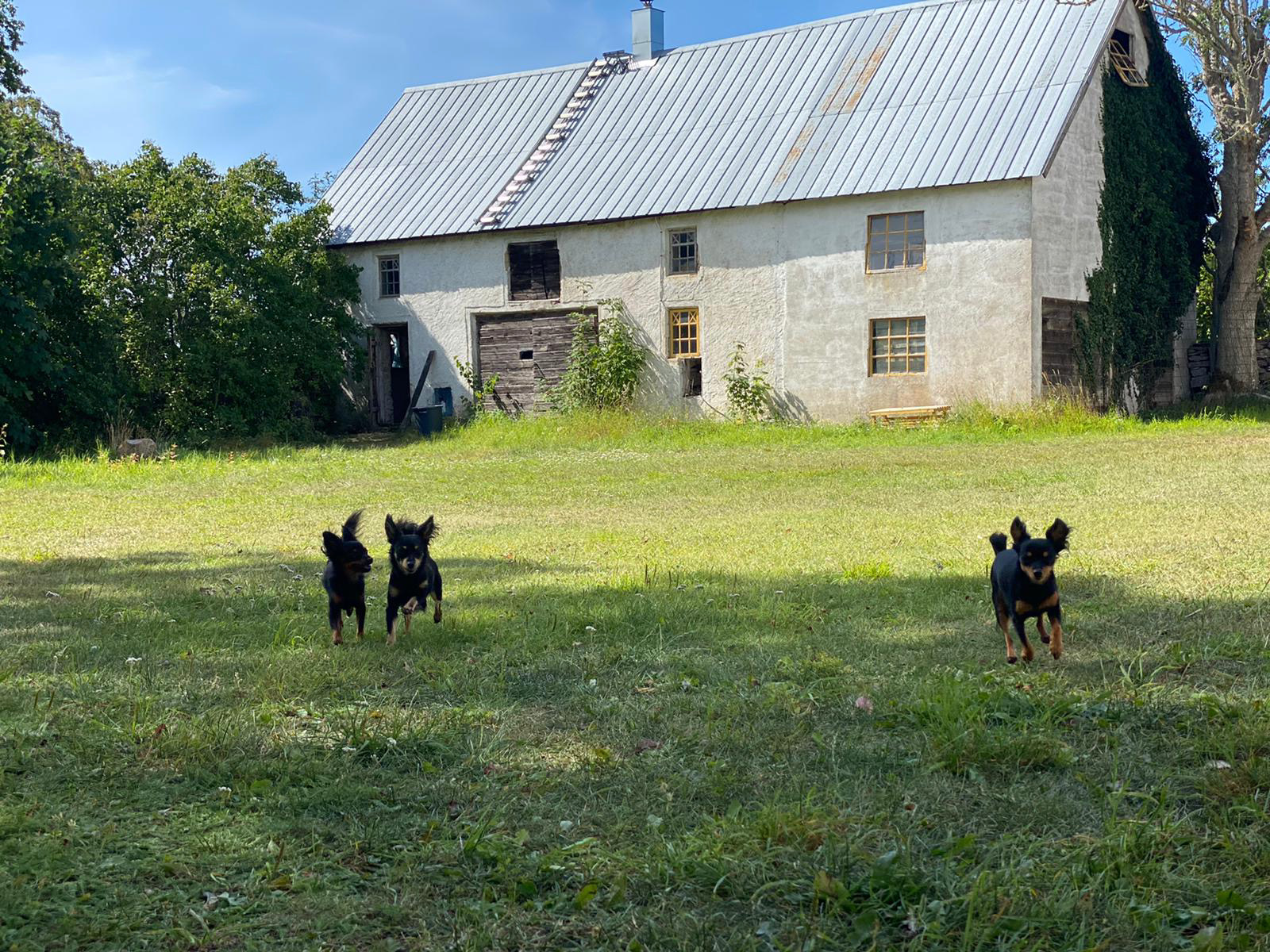 dae3c61e-292f-4a8d-bbb2-ea04e106bf16